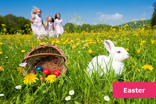 t2-easter.jpg